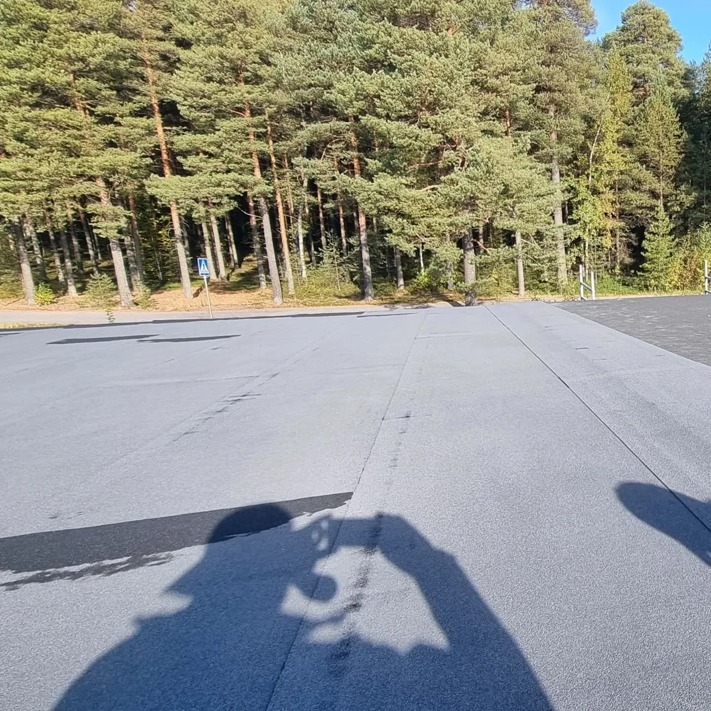 Aurinkoinen kuva harmaasta asfalttipinnasta, jonka taustalla on tiheä mäntymetsä. Etualalla näkyy kahden ihmisen pitkät varjot, joista toinen pitää kameraa. Metsän keskellä näkyy sinivalkoinen liikennemerkki.